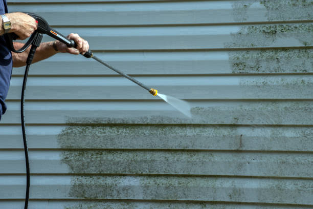 Best Roof Pressure Washing  in Spring Valley, AZ