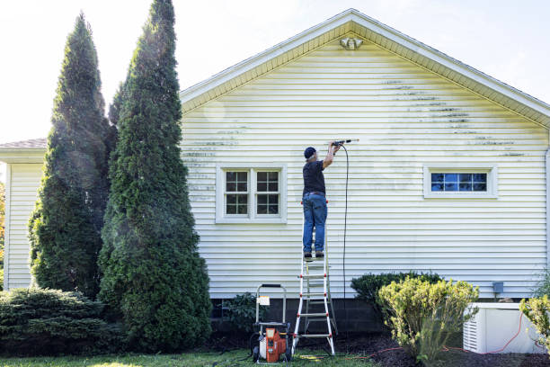Best Garage Pressure Washing  in Spring Valley, AZ