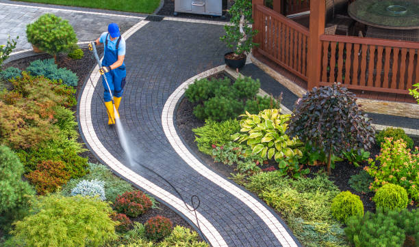 Best House Pressure Washing  in Spring Valley, AZ